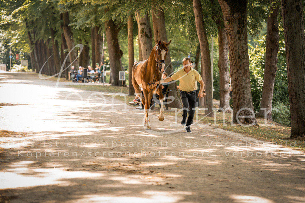 FrPfM00242 | Leoni Ertmer Photography - Realisiert mit Pictrs.com