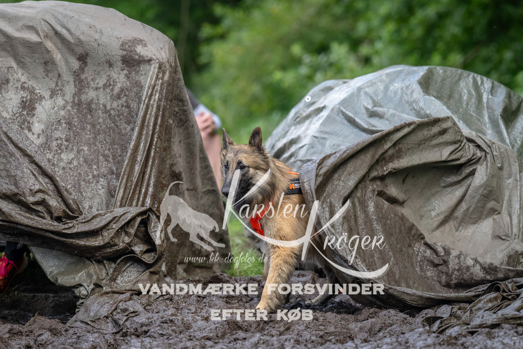 1640_ZZ94028 | kk-dogfotos