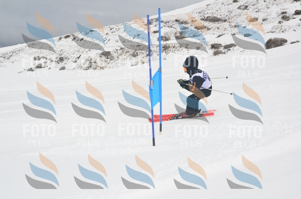 A5689 | holidayphoto