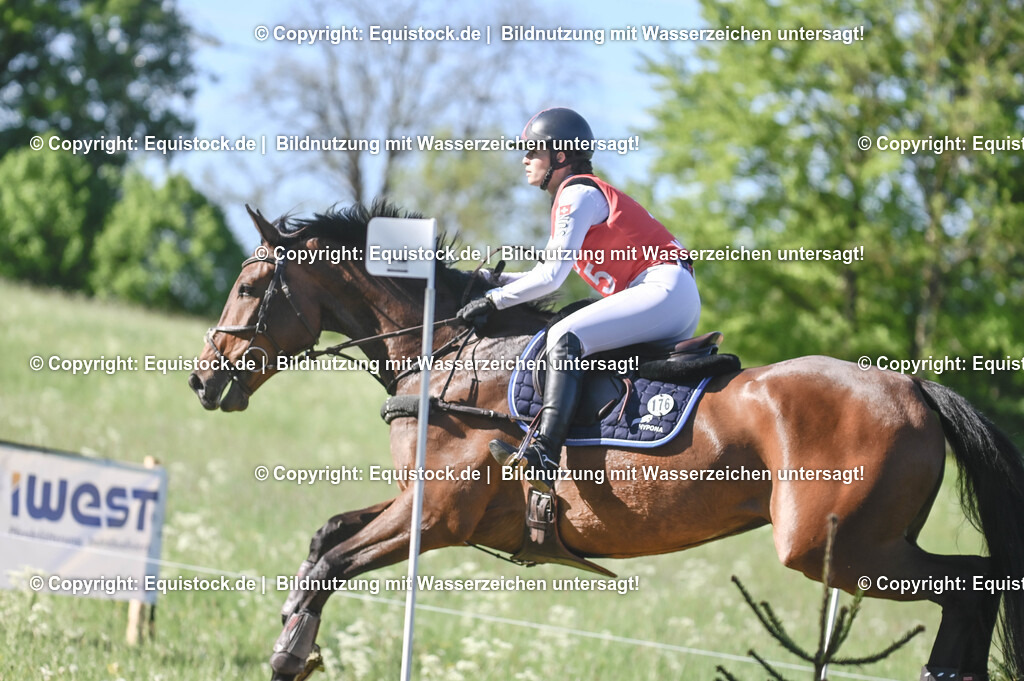 20250517_CCI2_Gelände_0406 | Foto: Thomas Hartig