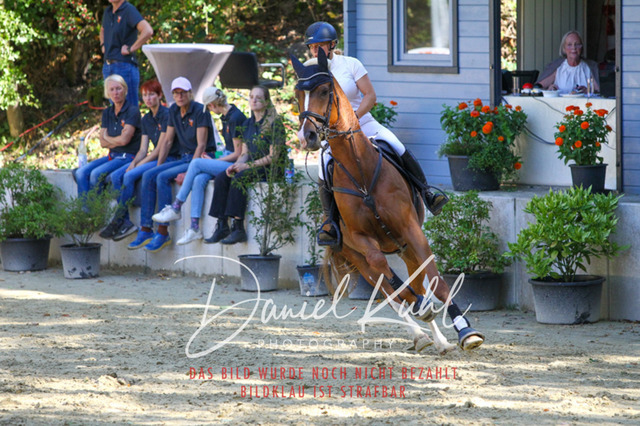 DKP43308 | Turniersportfotografie; Pferdefotografie; Dressurfotografie