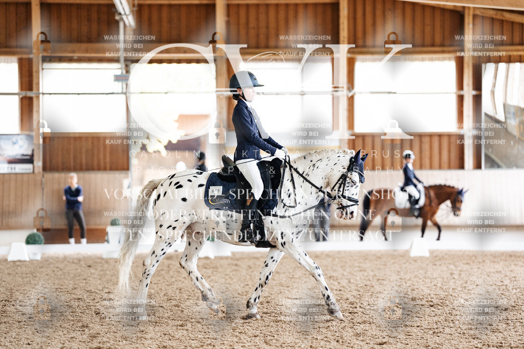 CK901392 | Turnierfotografie Pferdefotografie Trier Rheinland-Pfalz Pferdesport Reitsport Tierfotografie Sportfotografie Pferdevideo Pferdevideografie Equestrianvideography equestrianphotography  - Realisiert mit Pictrs.com