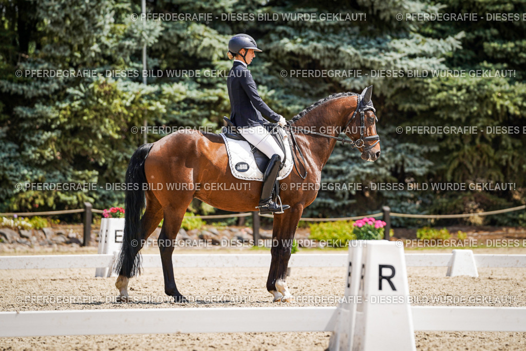 DSC01354 | Pferdegrafie