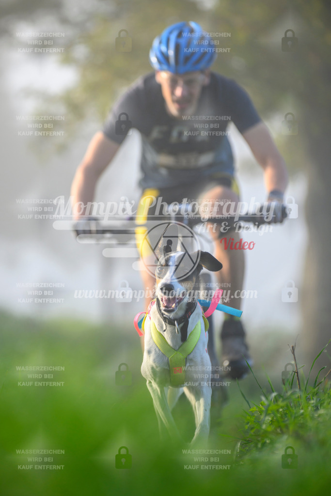 MompixPhotography_20TSB_E3_Bike-97 | PayLife