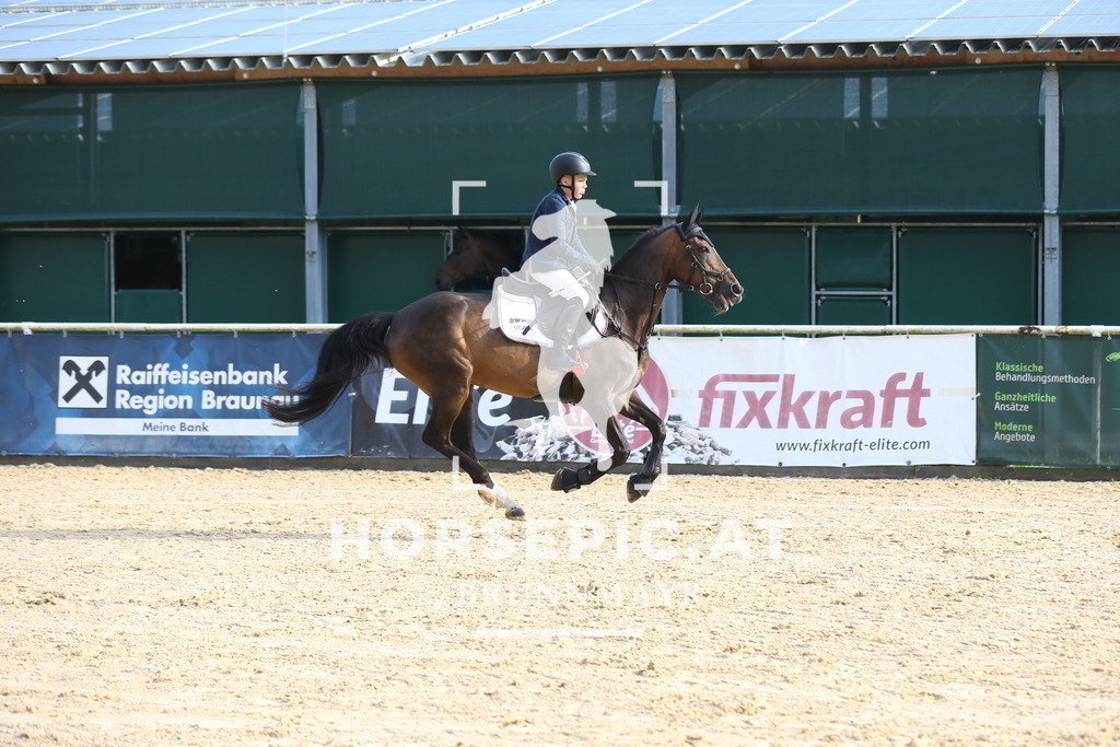 DL2Q0171 | Willkommen bei Brunnmayr - Design & Fotografie – Ihrem Spezialisten für Reitturniere und Pferdeveranstaltungen in Oberösterreich, Salzburg und Bayern! Seit über 17 Jahren sind wir leidenschaftlich dabei.