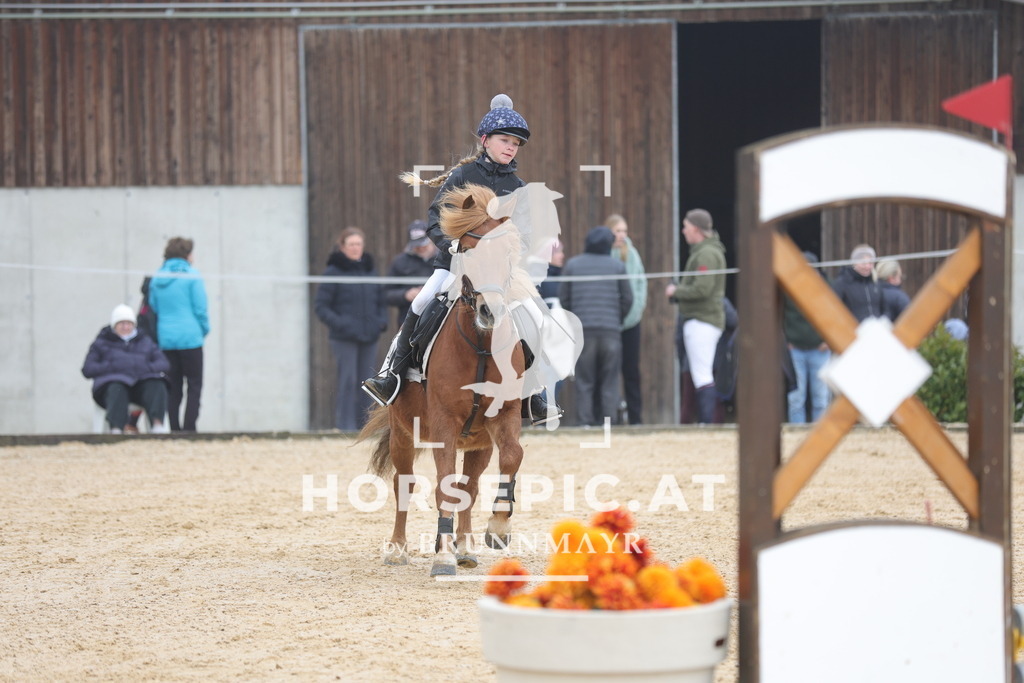 0P6A8635 | Willkommen bei Brunnmayr - Design & Fotografie – Ihrem Spezialisten für Reitturniere und Pferdeveranstaltungen in Oberösterreich, Salzburg und Bayern! Seit über 17 Jahren sind wir leidenschaftlich dabei.