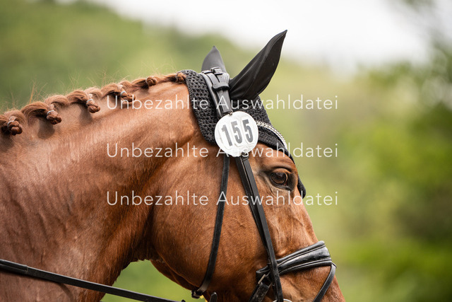 Bad_Meinberg_09859 | saradresslerfotografie - Realisiert mit Pictrs.com