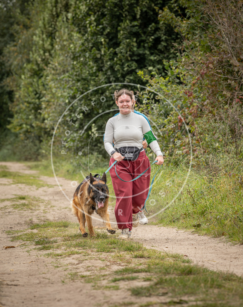 Pfotenfotografie_DV3A8286 | Hundefotografie, Tierfotograf, Pfotenfotografie, Fotoshooting Hund, Hunde Portrait, Hundesport, Hundeportraits, Heideshooting, Hunde, Sportfotograf, Hundefotograf, Turnierhundsport, THS,  - Realisiert mit Pictrs.com