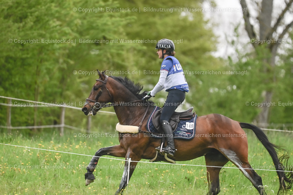 20230513_CCI4_Gelände_0208 | equistock