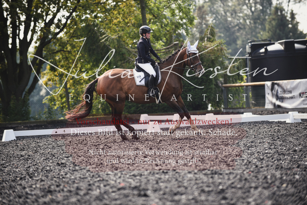 DSC_3564 | Pferde- und Turnierfotografie in Westsachsen. Pferdeportraits, Auftragszeichnungen und intuitive Kunst.