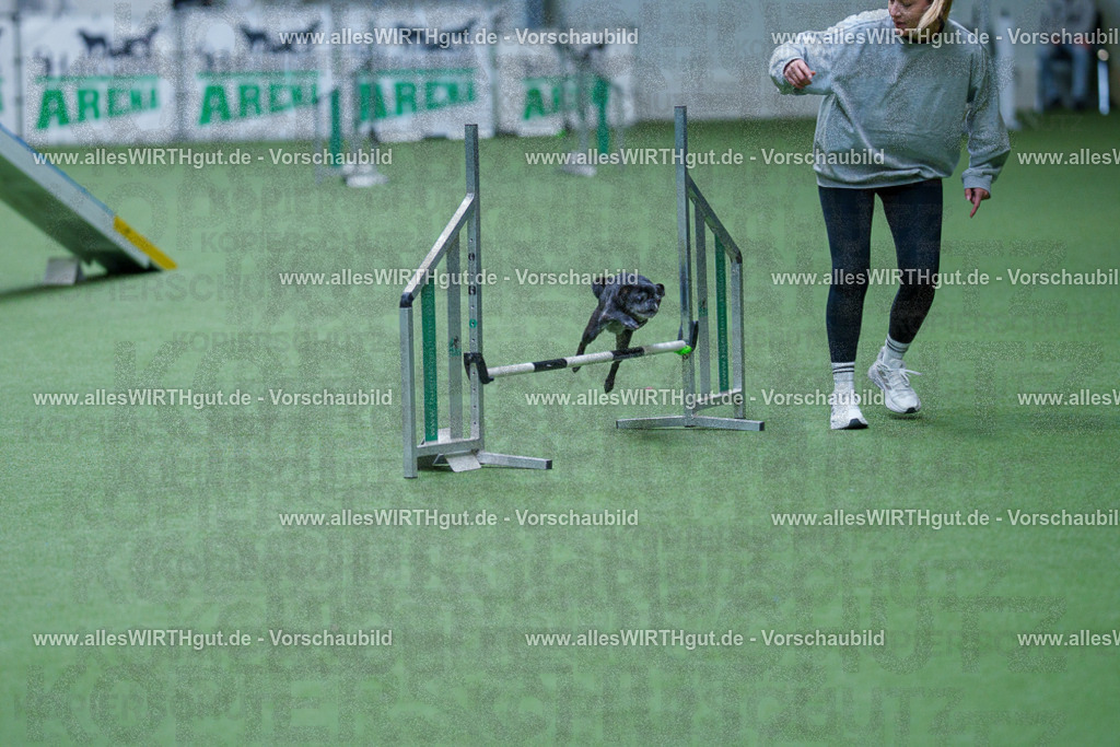 @allesWIRTHgut_Tierfotografie - www.allesWIRTHgut.de - 2604260919-7R507315 | Professionelle Tierfotografie in Mönchengladbach von Daniel Wirth (allesWIRTHgut). Liebevolle & natürliche Bilder von Hunden & Katzen für unvergessliche Erinnerungen.