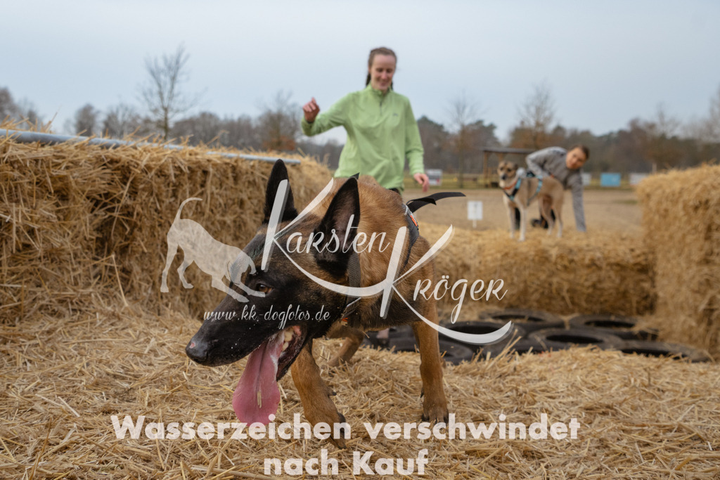 0836_ZZ93566 | kk-dogfotos