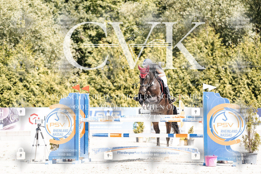 CK900635 | Turnierfotografie Pferdefotografie Trier Rheinland-Pfalz Pferdesport Reitsport Tierfotografie Sportfotografie Pferdevideo Pferdevideografie Equestrianvideography equestrianphotography  - Realisiert mit Pictrs.com
