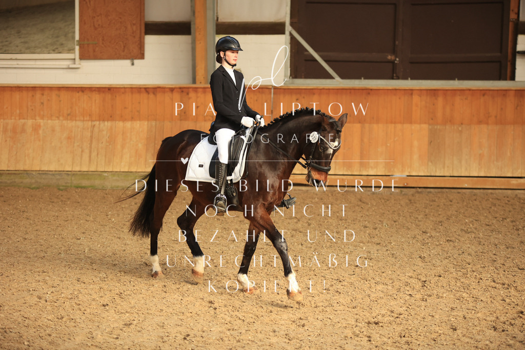 IMGT4232 | pl-fotografie