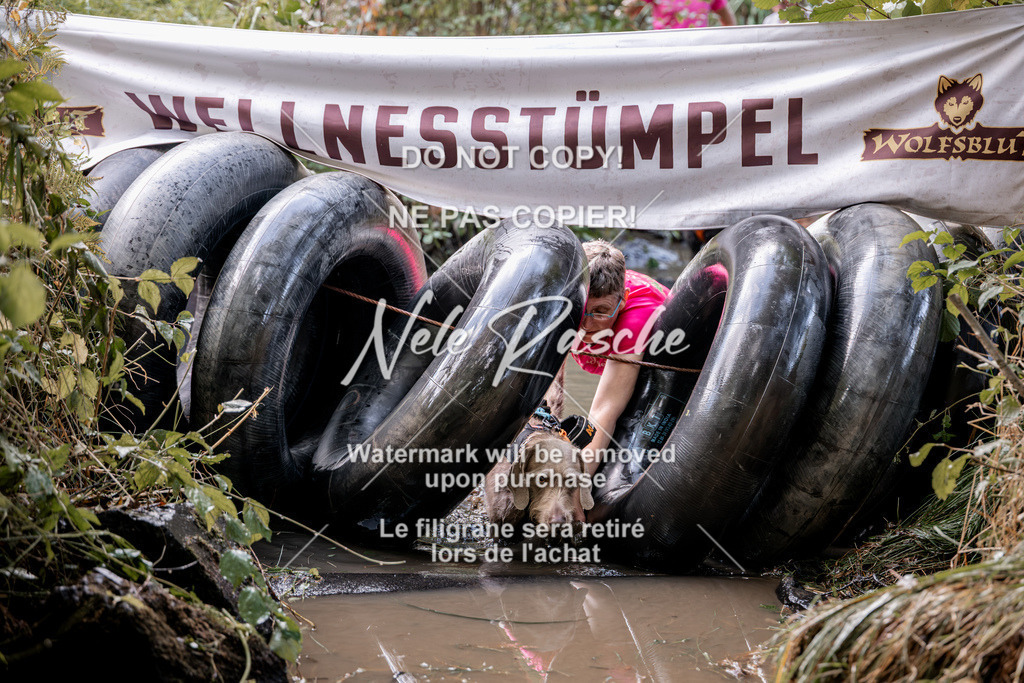 nelerasche_Hunsrück2026_Sa1400-1500_112 | nelerasche