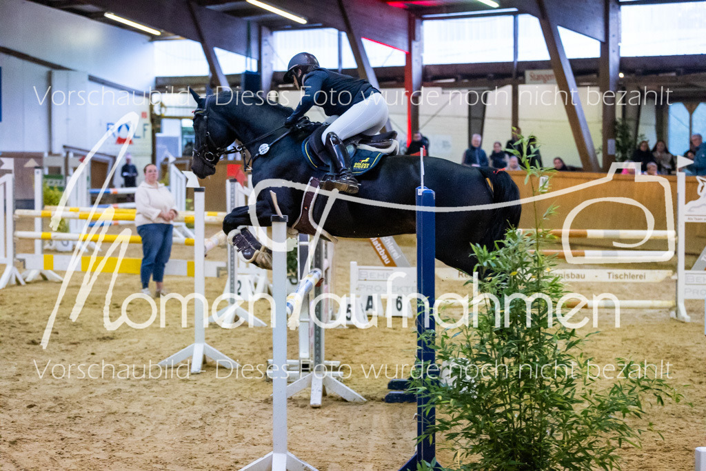 Sth-L-Springen-051 | MomenTaufnahmen Pferdesportfotos