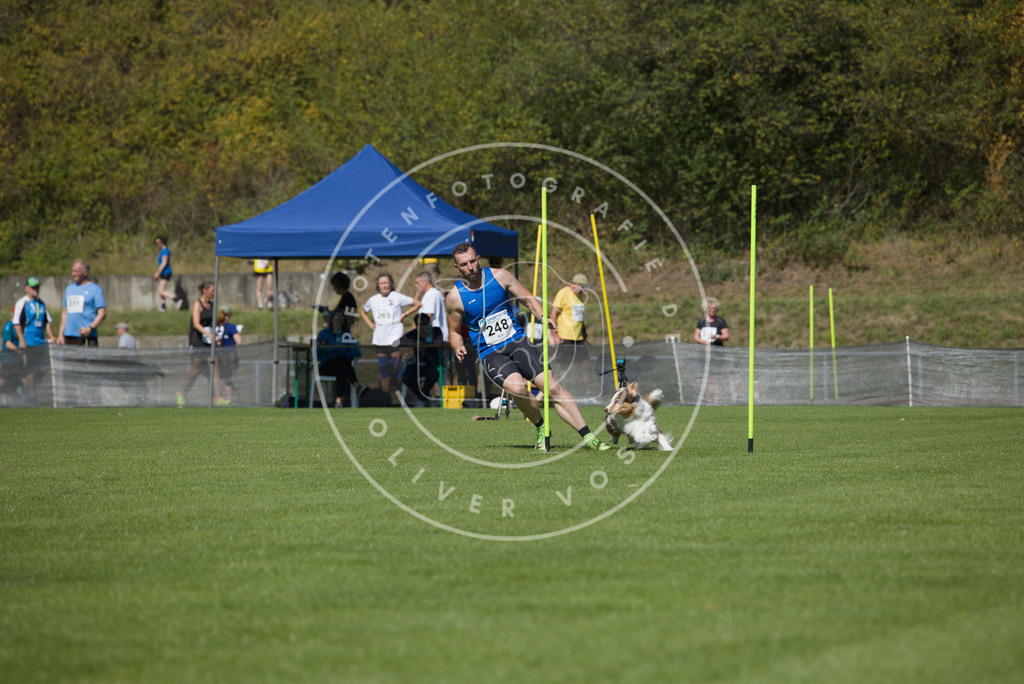 0L8A6253 | Hundefotografie, Tierfotograf, Pfotenfotografie, Fotoshooting Hund, Hunde Portrait, Hundesport, Hundeportraits, Heideshooting, Hunde, Sportfotograf, Hundefotograf, Turnierhundsport, THS,  - Realisiert mit Pictrs.com