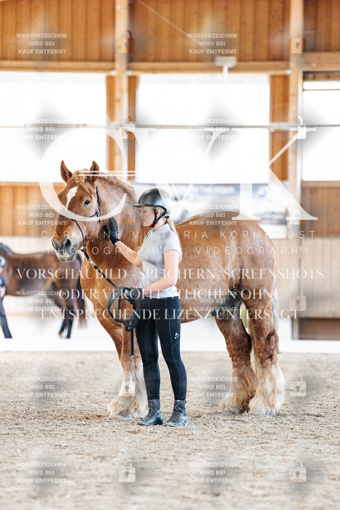 CK906440 | Turnierfotografie Pferdefotografie Trier Rheinland-Pfalz Pferdesport Reitsport Tierfotografie Sportfotografie Pferdevideo Pferdevideografie Equestrianvideography equestrianphotography  - Realisiert mit Pictrs.com