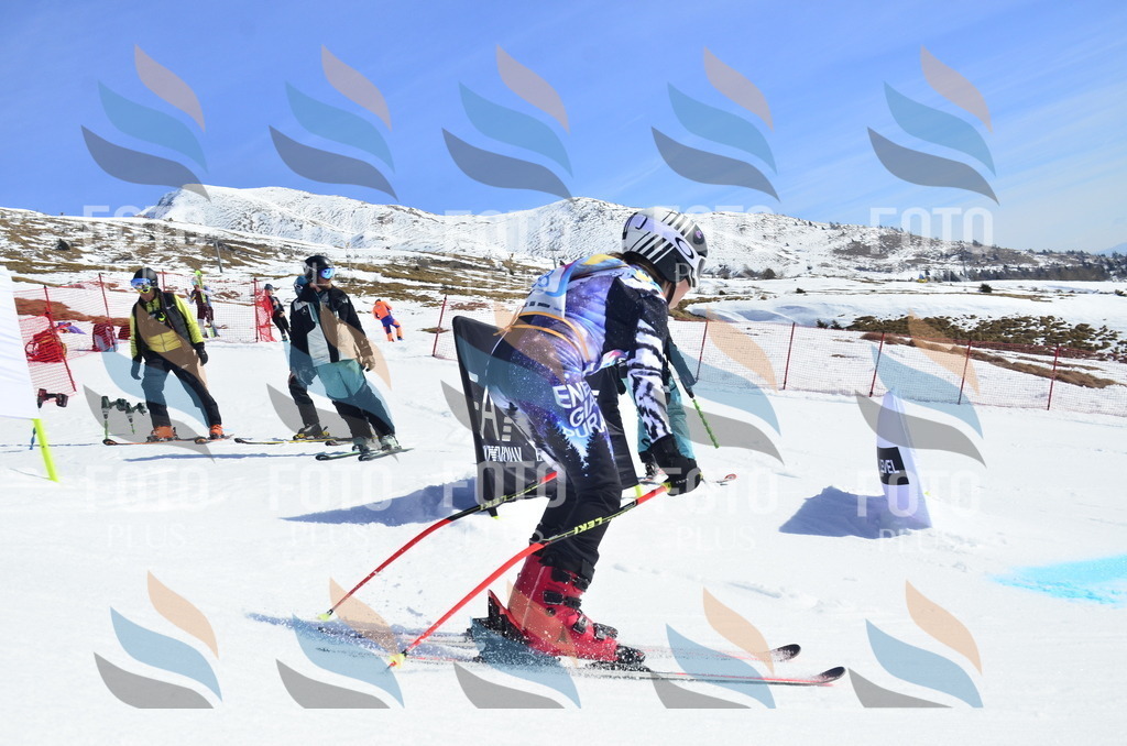 _ELE0469 | holidayphoto