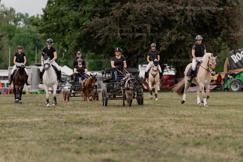 Showprogramm-377 | working equitationturnier fotograf videograf stoibphotography marixx film working equitation deutschland reitsport turnierfotografie eventfotografie equestrian events