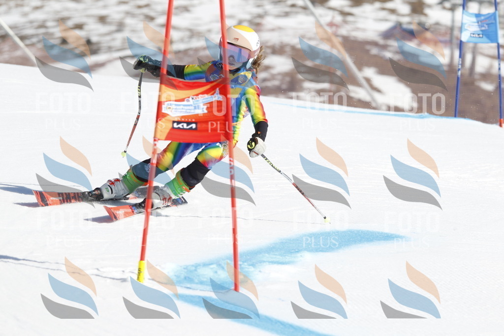 _U3G8876 | holidayphoto