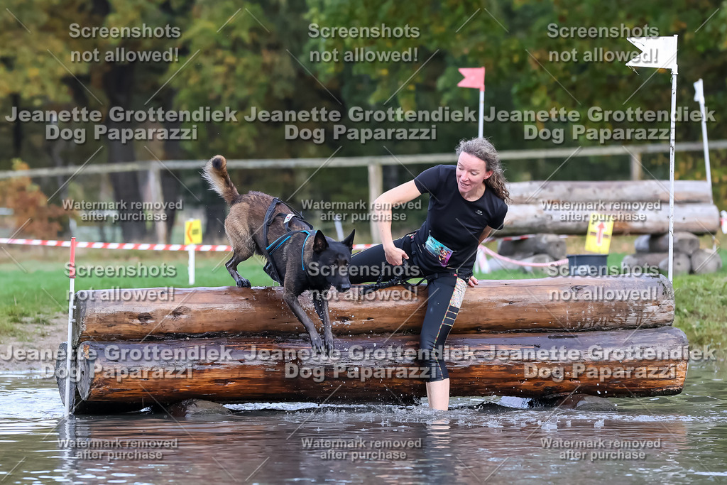 Dog Paparazzi - Strongdog 10-25-6741 | Dog Paparazzi Jeanette Grottendiek Fotografie & Videografie - Realisiert mit Pictrs.com