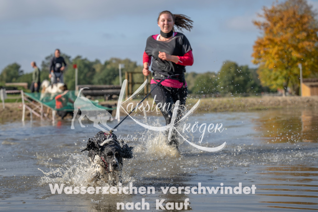 1104_ZZ91301 | kk-dogfotos