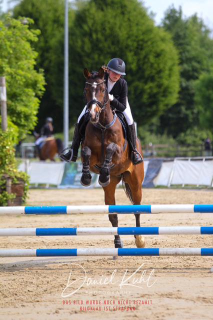 DKP41340 | Turniersportfotografie; Pferdefotografie; Dressurfotografie