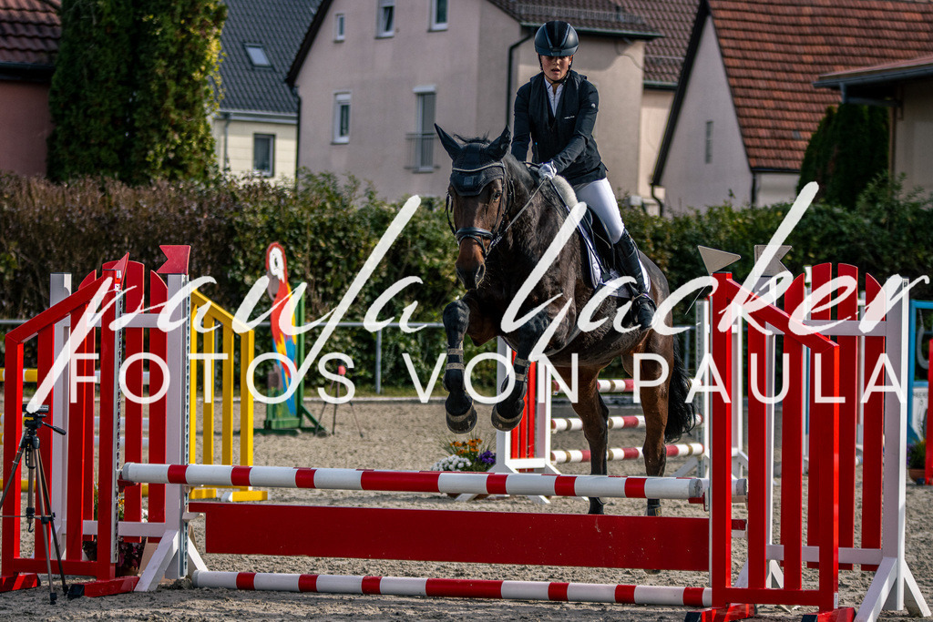 IMG_5455 | Erleben Sie dynamische Sport- und emotionale Tierfotografie in Süddeutschland mit Fotos von Paula. Spezialisiert auf Pferde- und Hundefotografie sowie Sportevents. Kontaktieren Sie mich für einzigartige und ausdrucksstarke Bilder Ihrer besonderen Momente. - Realisiert mit Pictrs.com