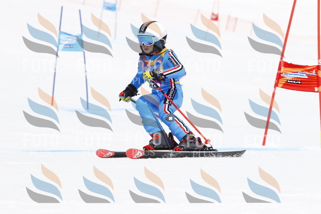 _U3G5657 | holidayphoto