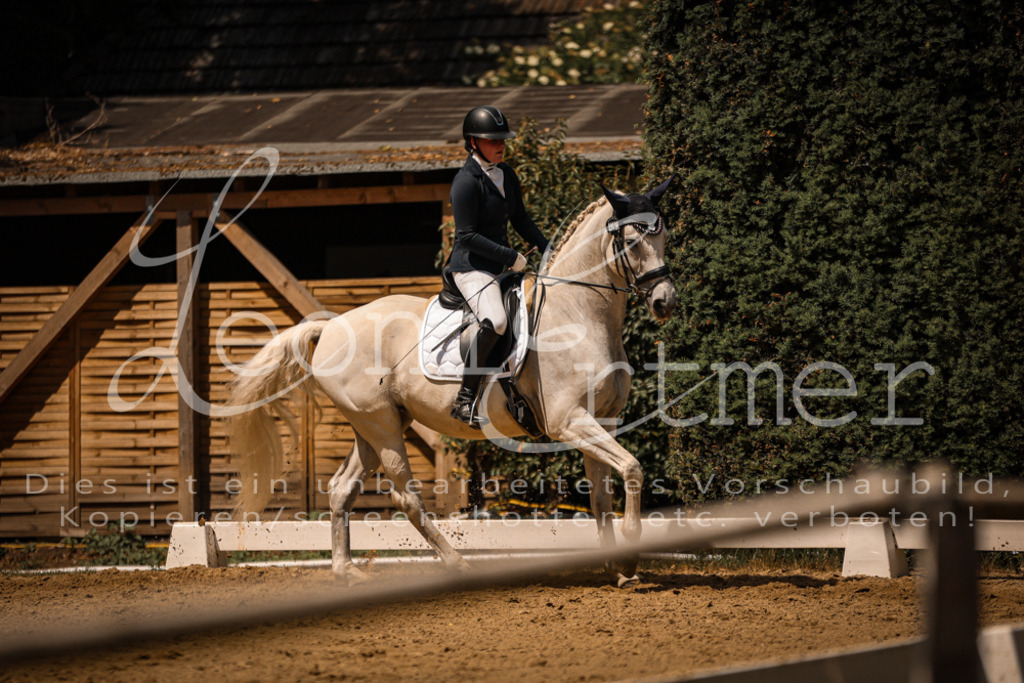 09.FrDrA200214 | Leoni Ertmer Photography - Realisiert mit Pictrs.com