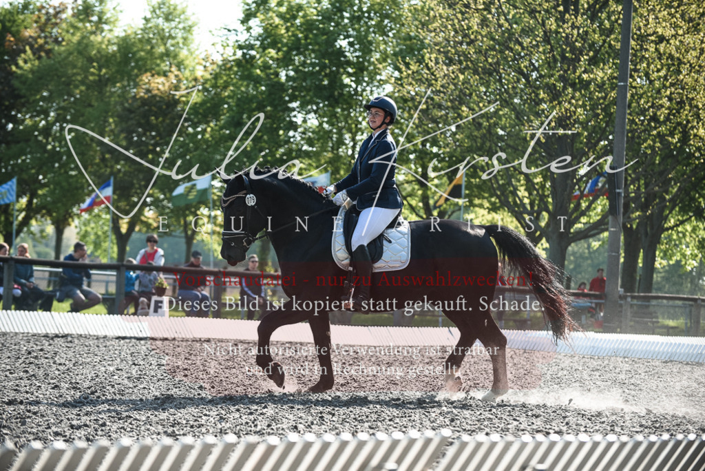 DSC_8490 | Pferde- und Turnierfotografie in Westsachsen. Pferdeportraits, Auftragszeichnungen und intuitive Kunst.
