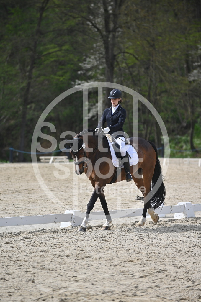 DSC_4201 | sattelsport - Realisiert mit Pictrs.com