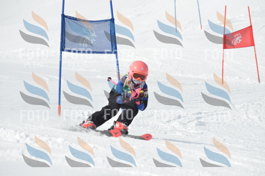 D8574 | holidayphoto