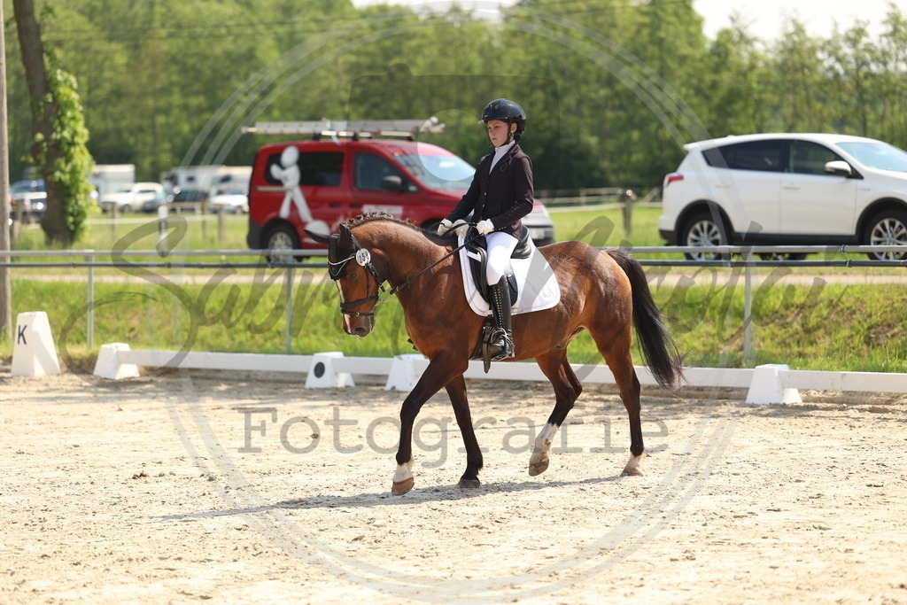 994A7316 | sabrinanicolaifotografie - Realisiert mit Pictrs.com