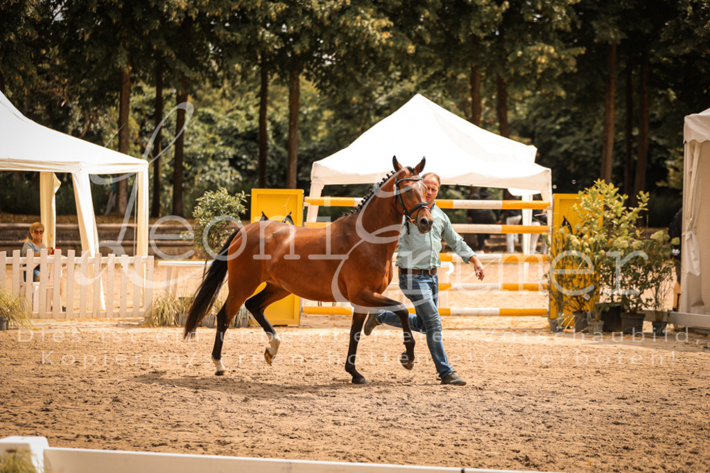 11.So00036 | Leoni Ertmer Photography - Realisiert mit Pictrs.com