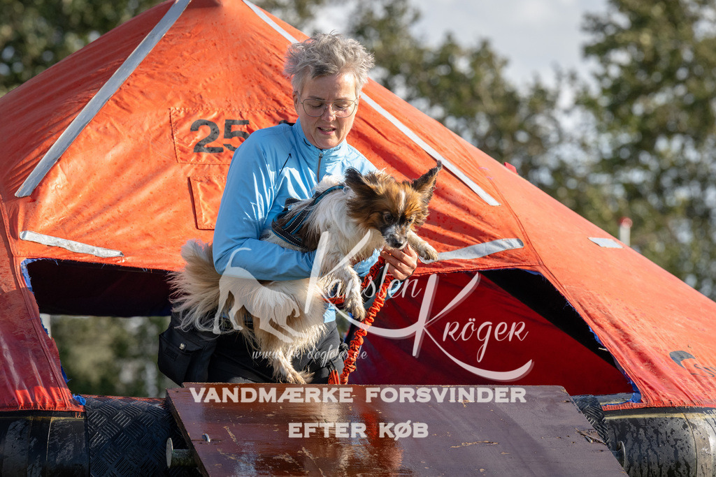 1437-94602 | kk-dogfotos