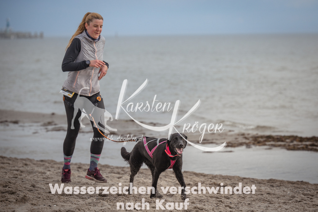1223_ZZ96335 | kk-dogfotos