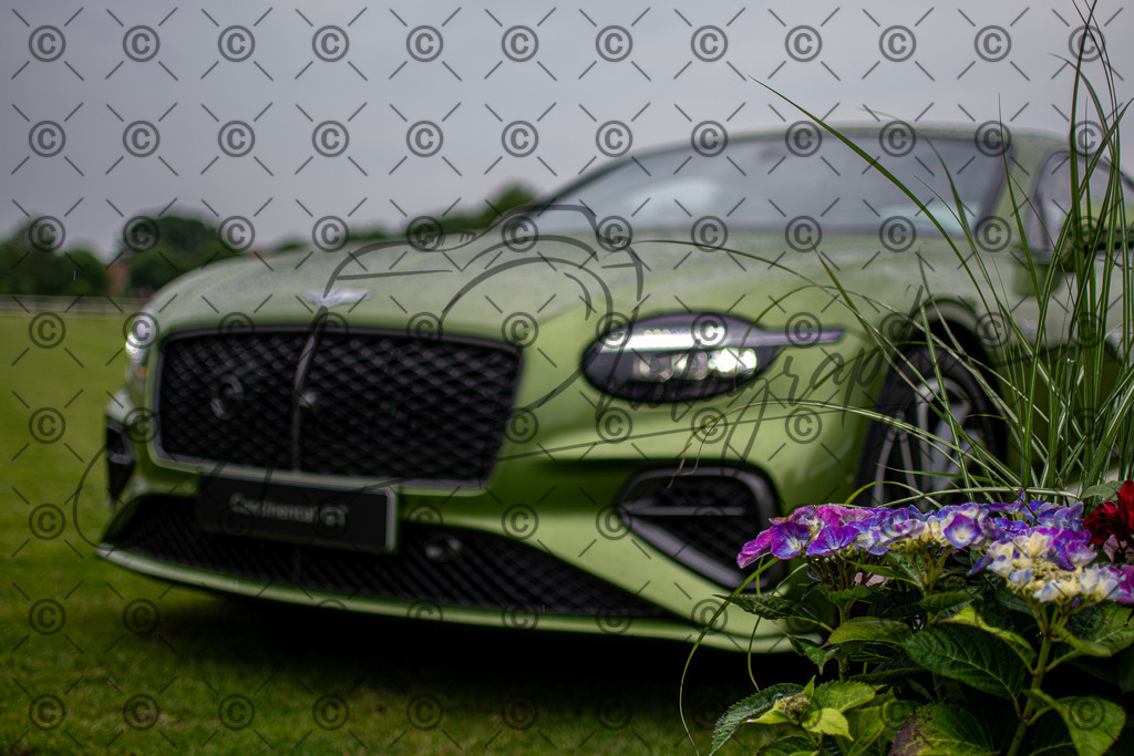 POL_3026-2 | andre_photographic