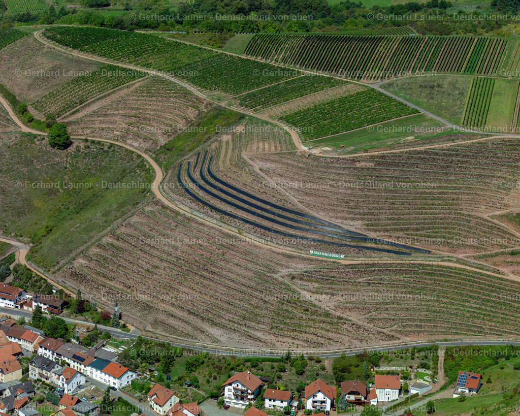 3197276 | Weinberg Johannisberg bei Wallhausen