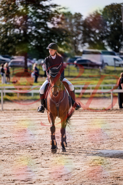 2026_10_03_Siefer-Hof_143349_Z81_02052283 | Professionelle Reitsport-, Turnier- und Eventfotografie von Robert Broda. Galerien mit ausgewählten und bearbeiteten Bildern direkt online ansehen und bestellen.