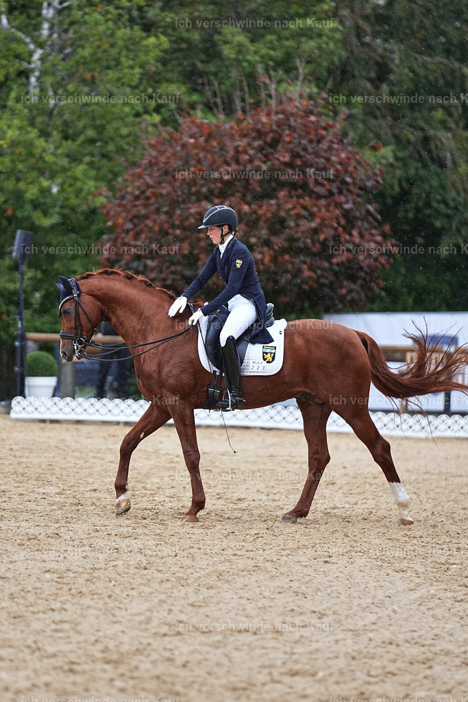 8_1-223-Klasse S_  -Marixx-4310 | working equitationturnier fotograf videograf stoibphotography marixx film working equitation deutschland reitsport turnierfotografie eventfotografie equestrian events