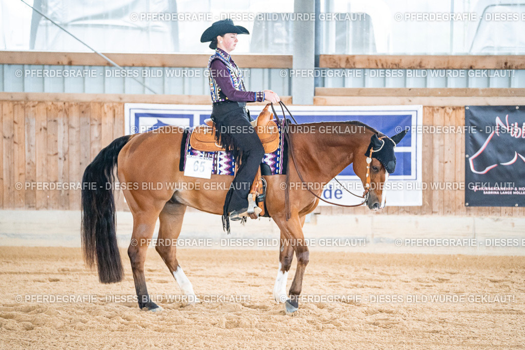 DSC01536 | Pferdegrafie