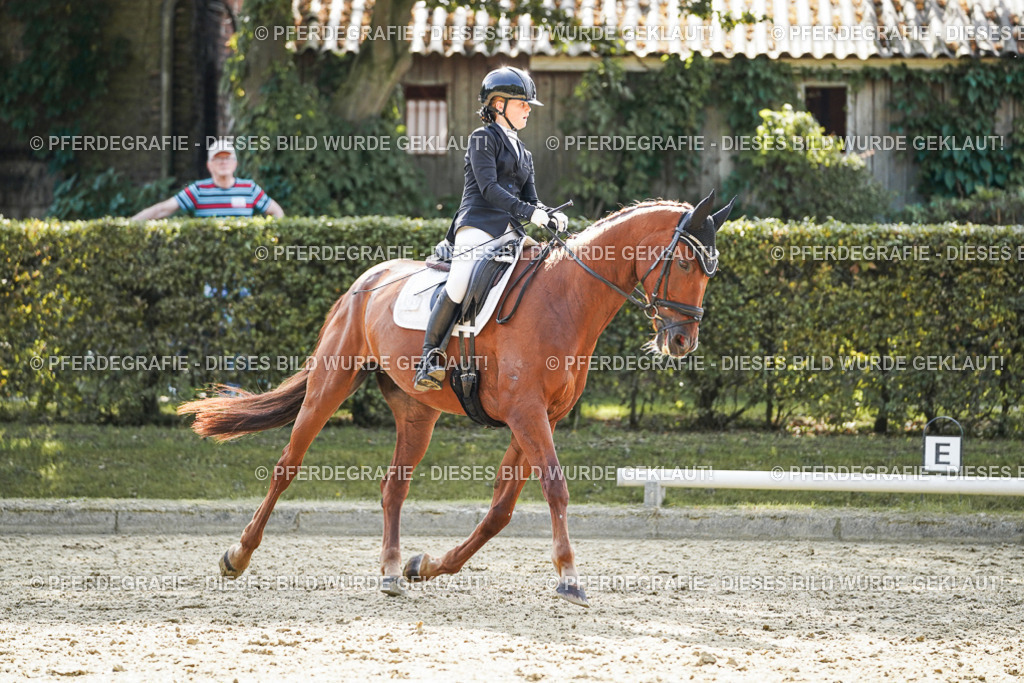 DSC08494 | Pferdegrafie