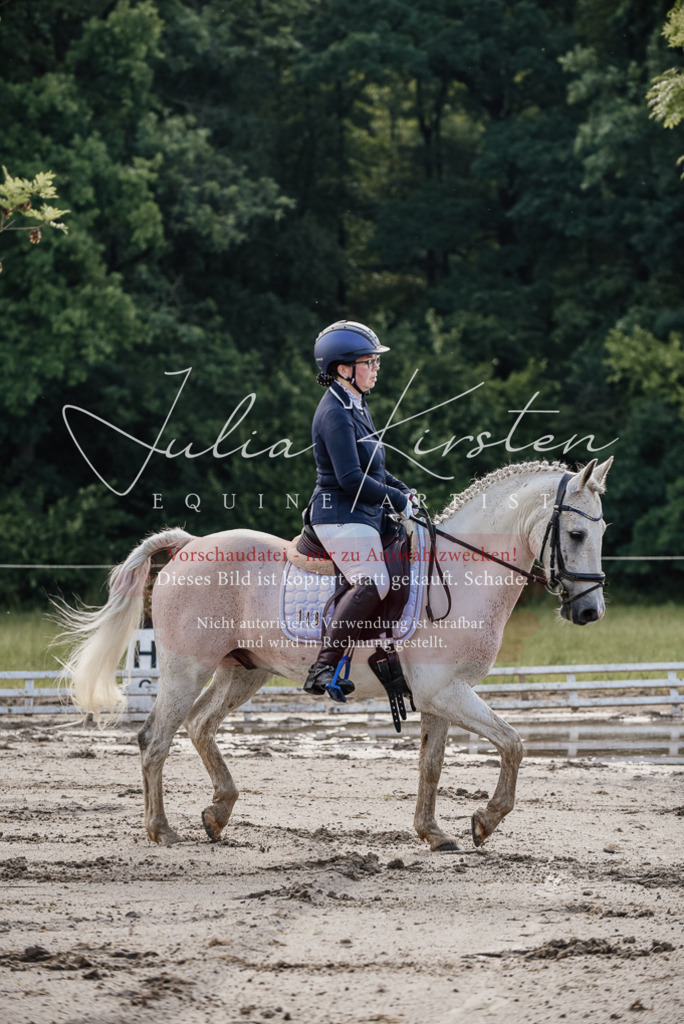 DSC_7955 | Pferde- und Turnierfotografie in Westsachsen. Pferdeportraits, Auftragszeichnungen und intuitive Kunst.