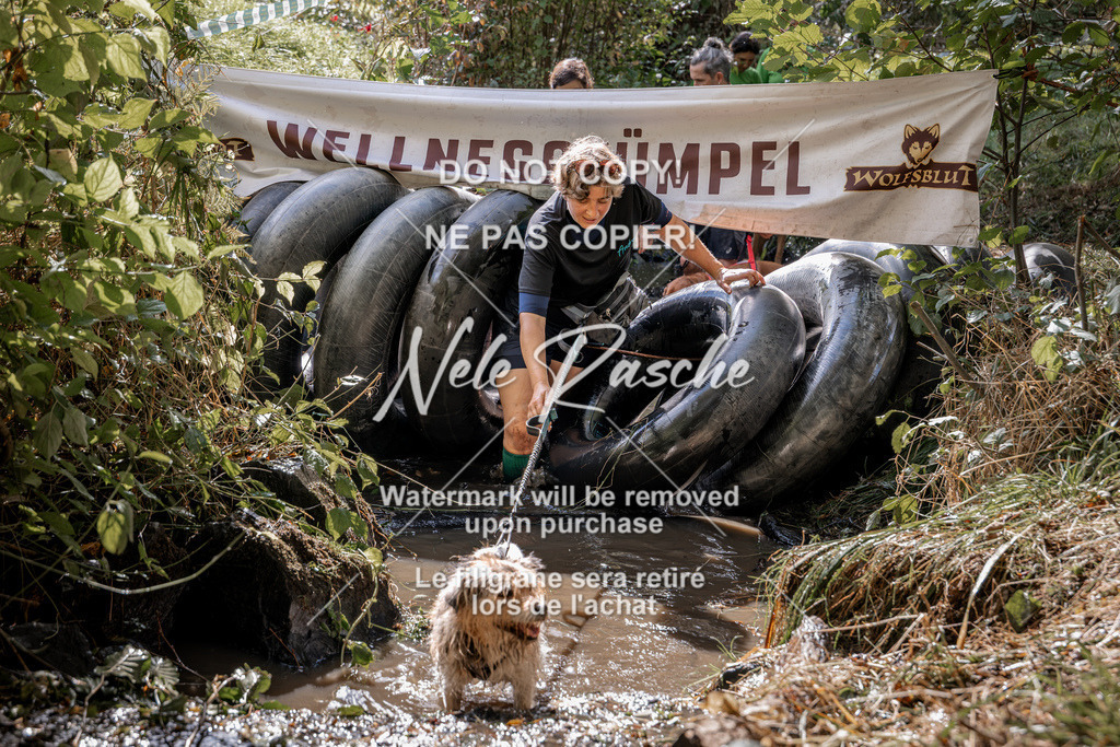 nelerasche_Hunsrück2026_Sa1400-1500_07 | nelerasche