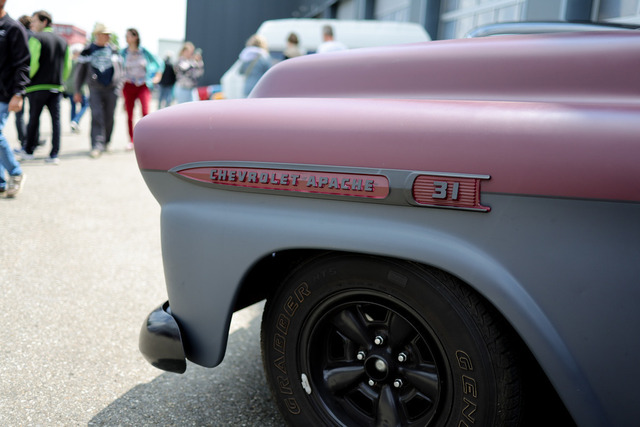 Calag_Oldtimer2025-19 | Ich fotografiere Hundeausstellungen, Sportanlässe, Zuchtstätten, Hundezucht, Hundeportrait, Lagotto - Realisiert mit Pictrs.com