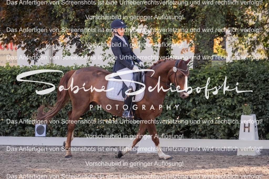 2025_05_31_DSCF3019 | People- und Tierfotografie, Imageaufnahmen, Veranstaltungsfotografie und Wandbilder aus der Natur ★ Made in Germany ✔️ Druck + Downloads ✔️ Naturfotografie in Top Qualität ★ schneller Versand, weltweite Lieferung! - Realisiert mit Pictrs.com