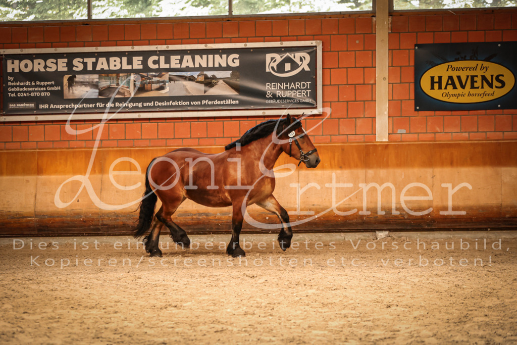 SaFL00141 | Leoni Ertmer Photography - Realisiert mit Pictrs.com