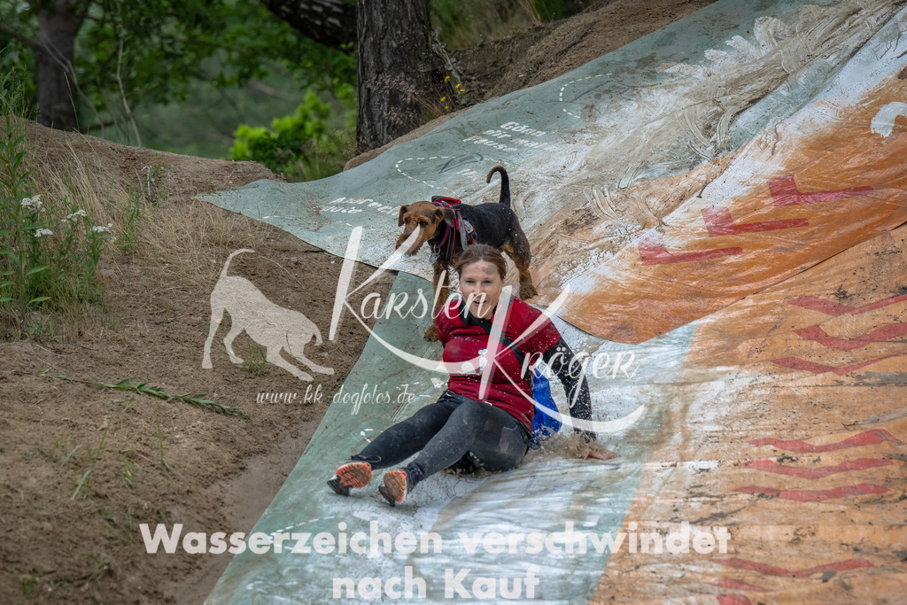 1648_ZZ90391-Bearbeitet | kk-dogfotos
